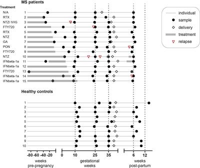 Plasma protein profiling reveals dynamic immunomodulatory changes in multiple sclerosis patients during pregnancy